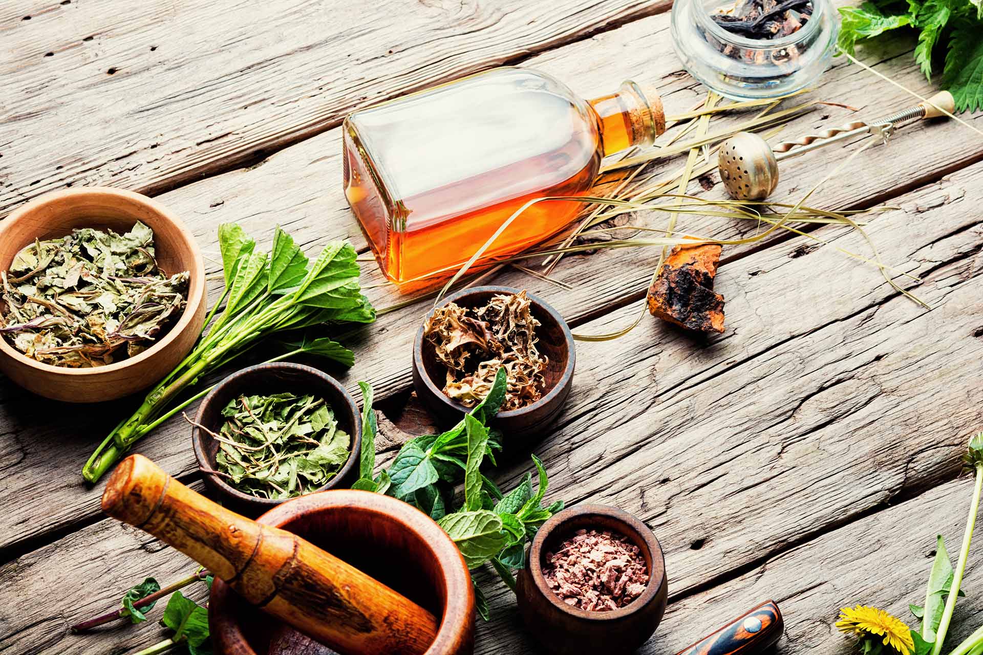 Homeopathic Treatment For Allergies homeopathic-treatment-for-allergies
